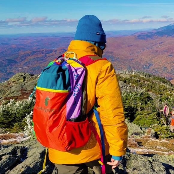 Meet your Posher, Harper - Picture 1 of 1